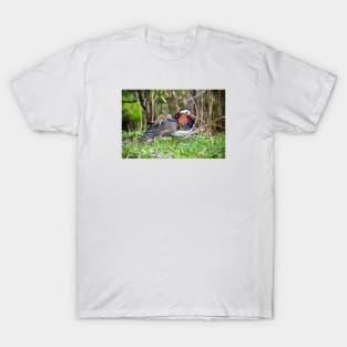 Mandarin Duck II / Swiss Artwork Photography T-Shirt